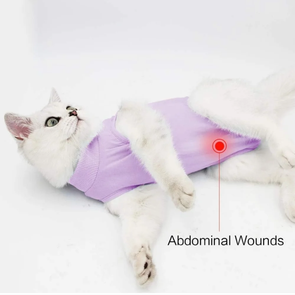Cat post surgery recovery suit